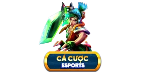 cá cược esports fun88